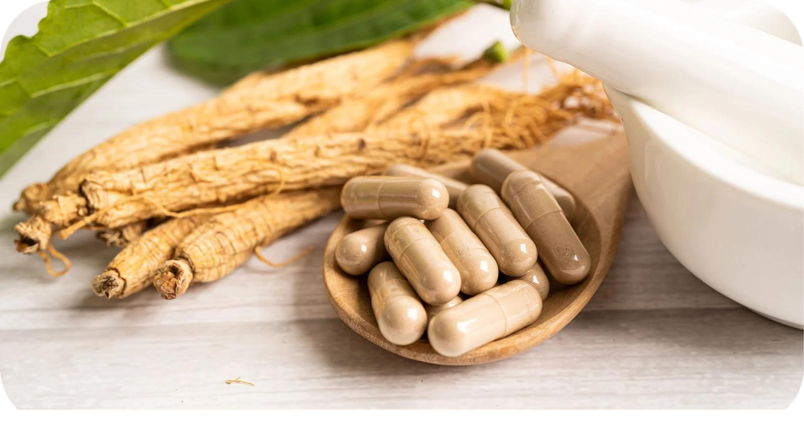 How Herbal Supplements Support Energy and Reduce Daily Fatigue